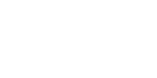 Next concepts logo
